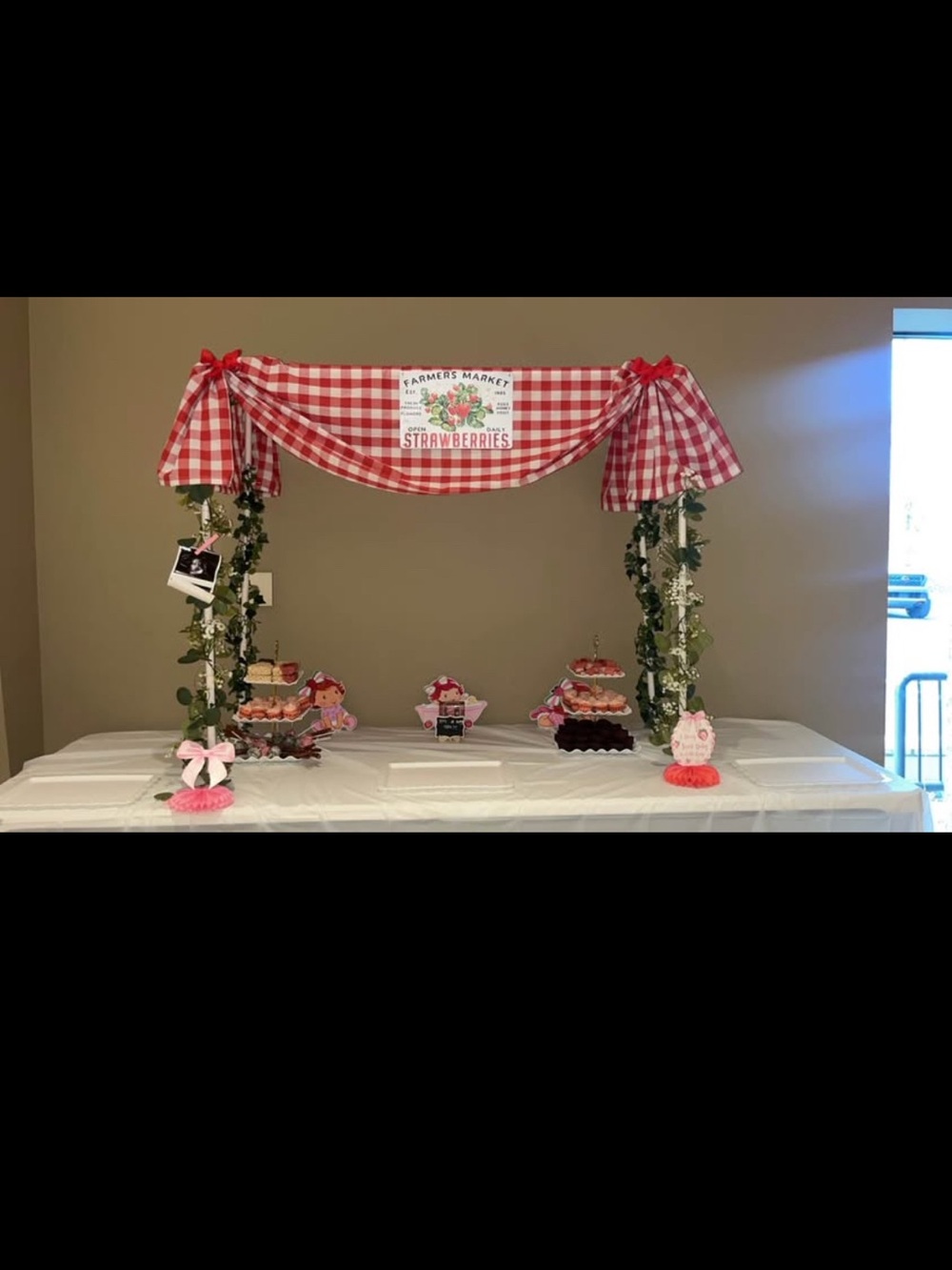 Farmers Market Strawberries Party Backdrop - Red Gingham